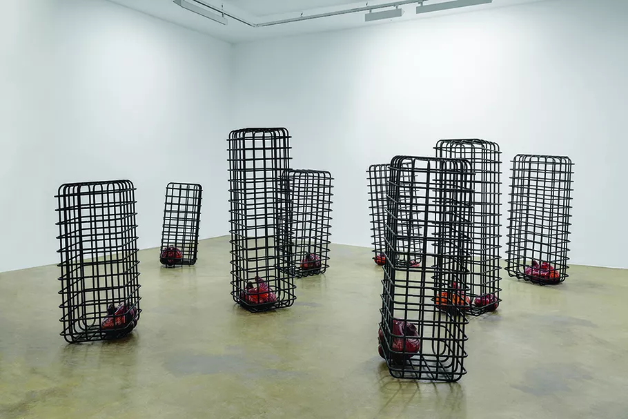 Mona Hatoum – Corps étranger (Yabancı Beden) 