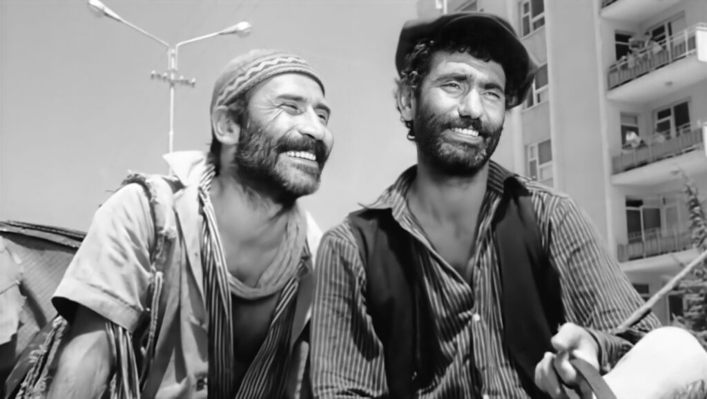 Yılmaz Güney Sineması