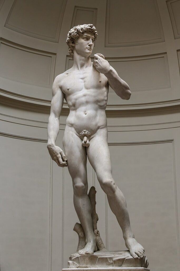 Michelangelo Buonarroti: Beden, Yaratım ve İlahi Kudret – Davud ve Sistina Şapeli -XVII David by Michelangelo Fir JBU004