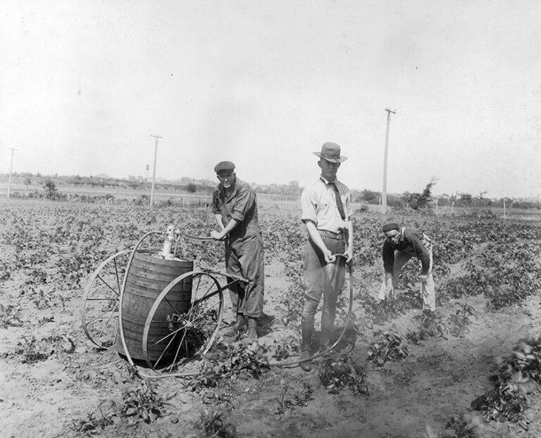 Ekososyalist Okuma – Marx’ta Doğa ve Metabolik Yarık Students spraying Irish potatoes 10004185