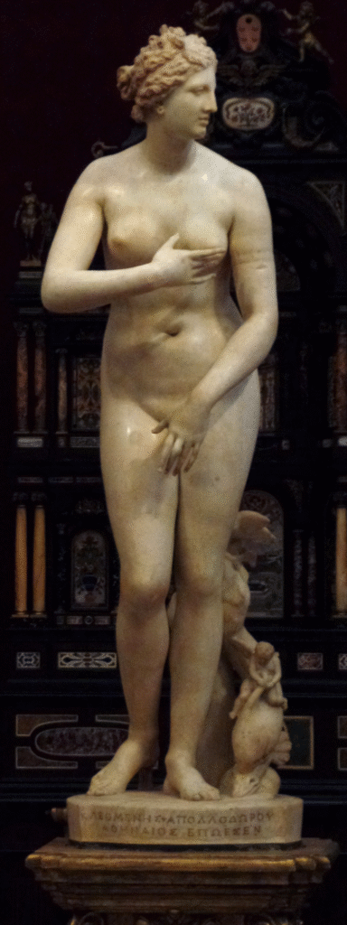 Medici Venüsü
Wai Laam Lo - Yükleyenin kendi çalışması, CC BY-SA 3.0, https://commons.wikimedia.org/w/index.php?curid=47230858