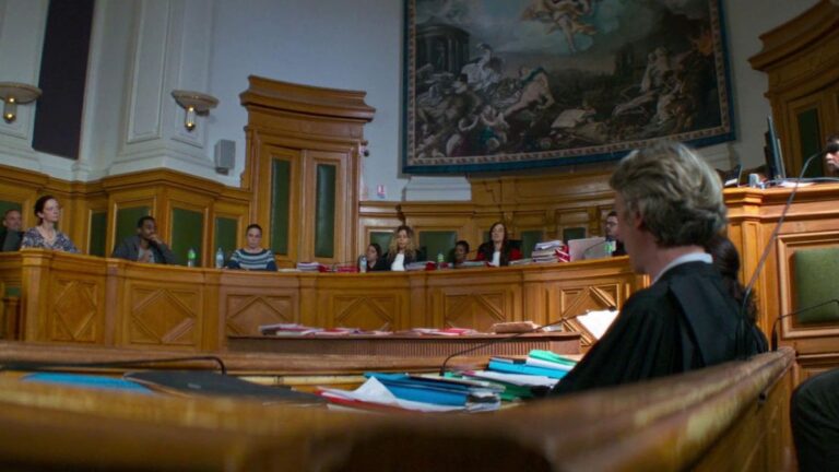 Düşüşün Anatomisi / Anatomy of a Fall — Justine Triet (2023)