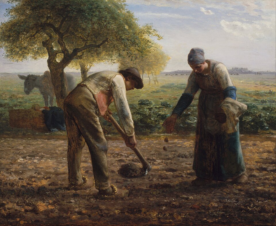 Jean-François Millet, Potato Planters / Patates Ekenler, Jean-François Millet, Potato Planters / Patates Ekenler, 19. yüzyıl, Realizm ve Barbizon Okulu etkili tarımsal emek sahnesi.