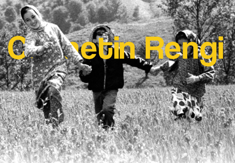 Cennetin Rengi / The Color of Paradise — Majid Majidi (1999) Cennetin Rengi / The Color of Paradise / Rang-e Khoda — Yönetmen ve senaryo: Majid Majidi, 1999, İran, drama.